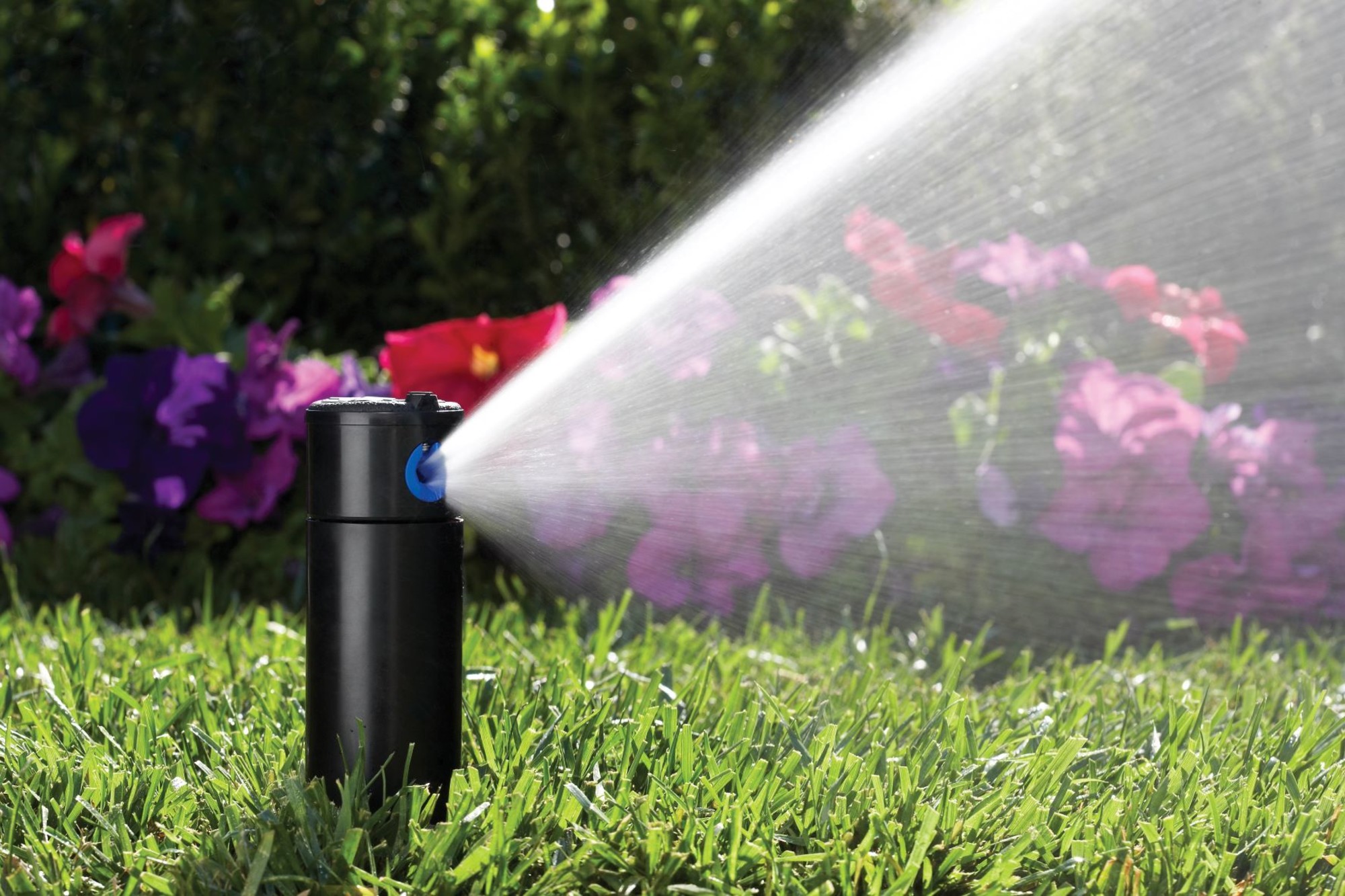 Irrigazione da giardino: automatizzare per risparmiare acqua